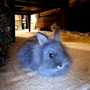 Meet your Posher, Krysten